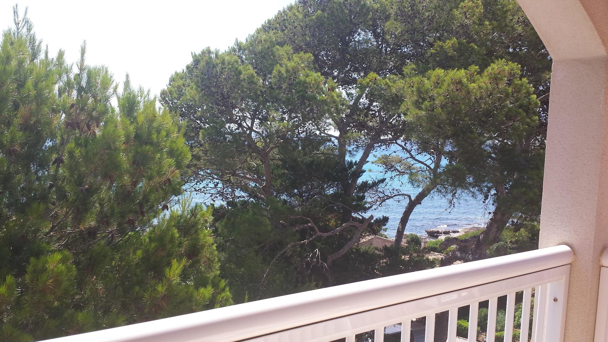 Classic, Solo Adultos Canyamel (Mallorca)